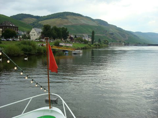 DSC00617