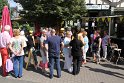 IMG_0224